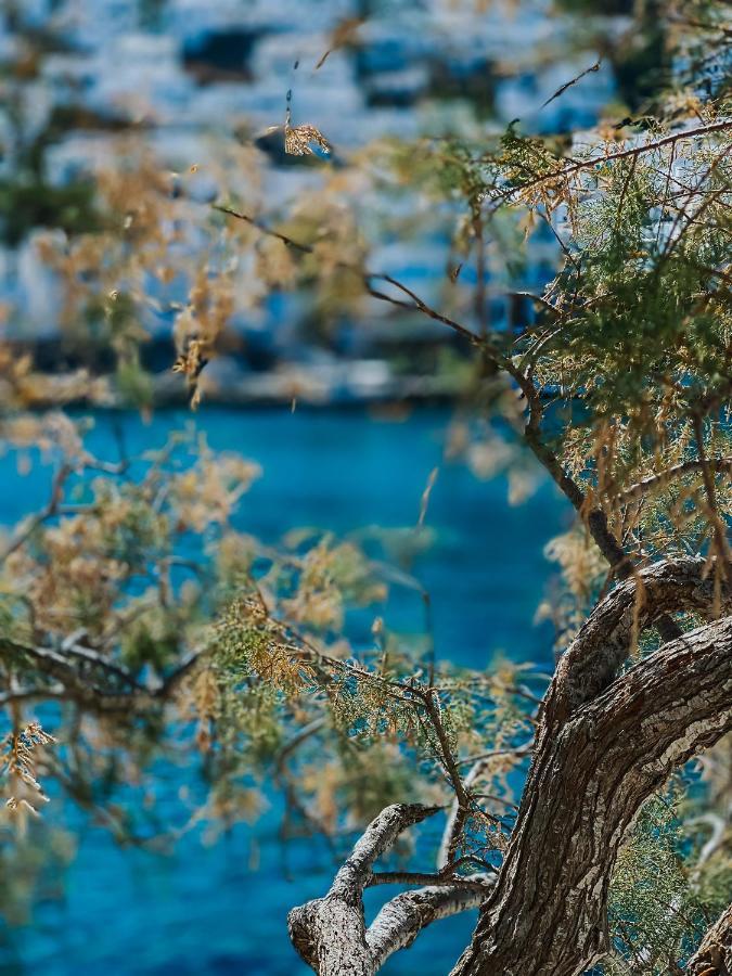 Vithos Seaside Aparthotel Astypalaia Exterior photo